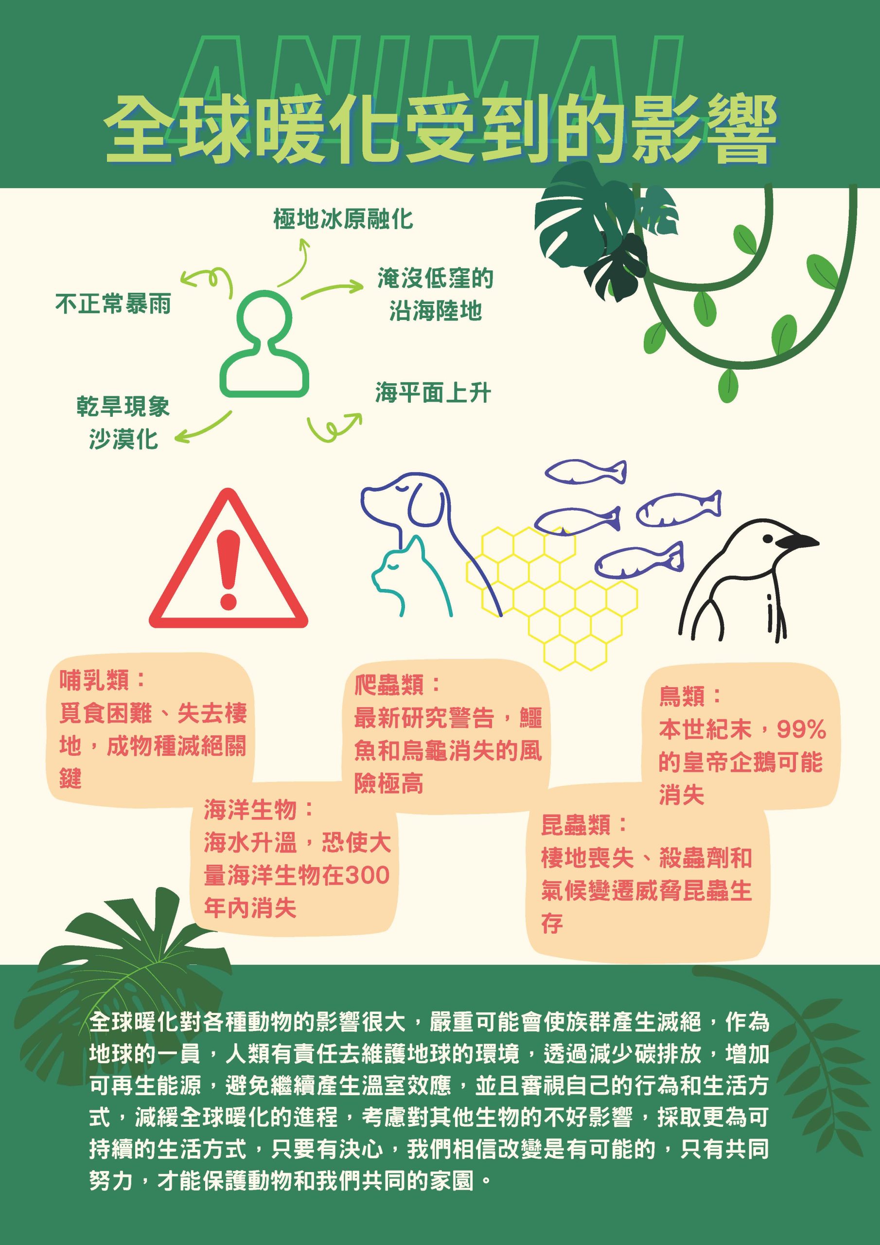 淨零路徑分析與解決方案 期末報告